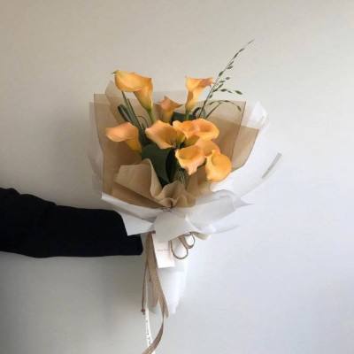 新万博全站app最新版app下载